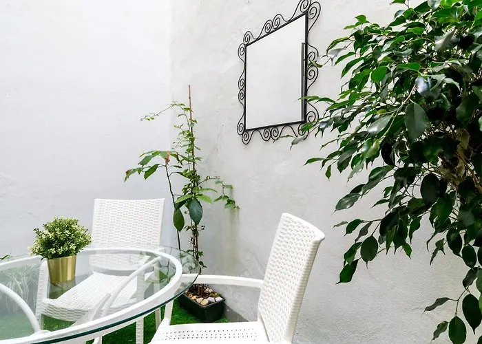 Apartamento Con Terraza En El Centro Historico