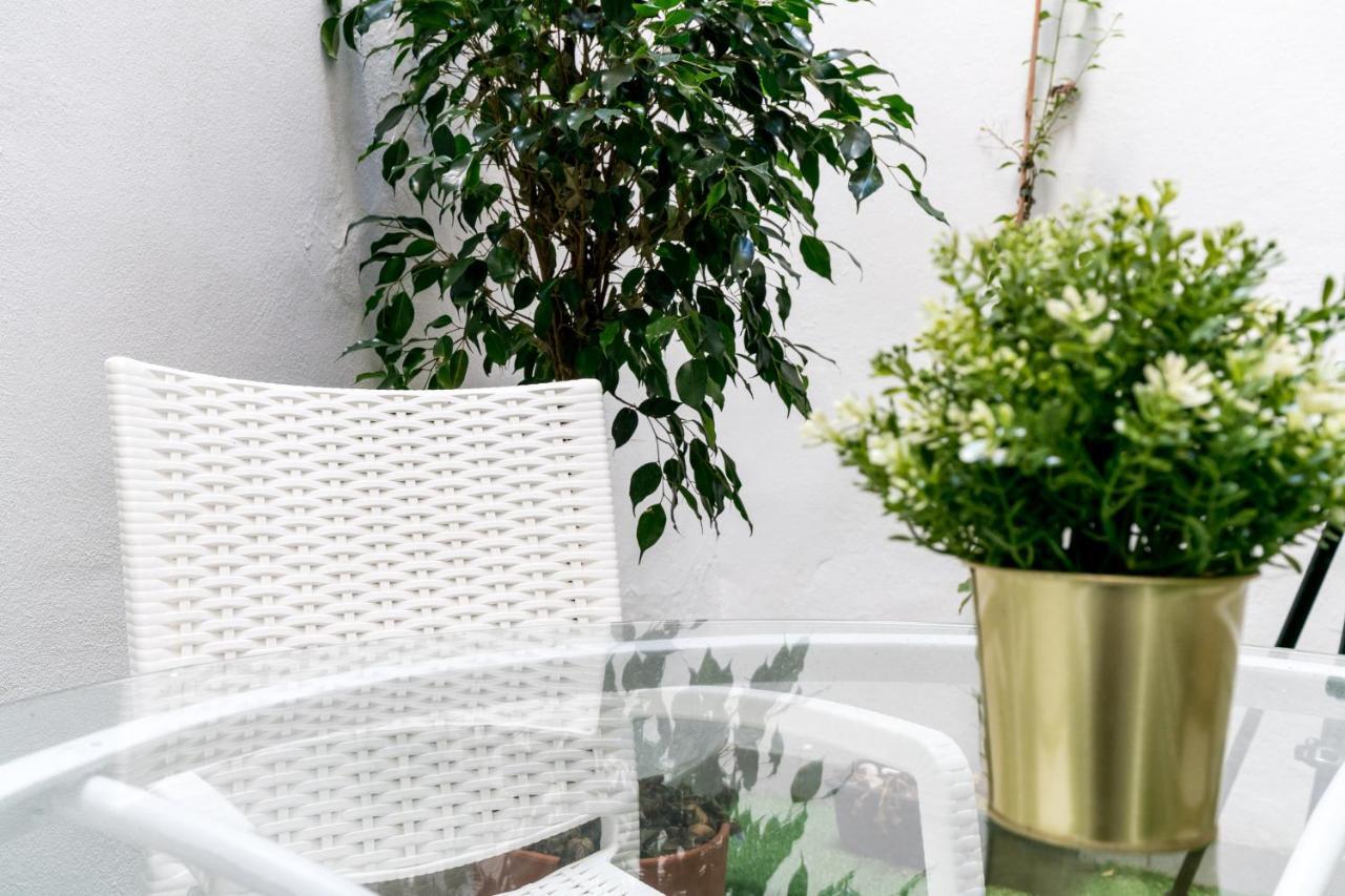 Apartamento Con Terraza En El Centro Historico